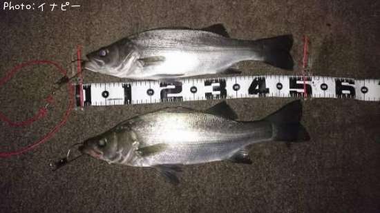 �ҥ饹����