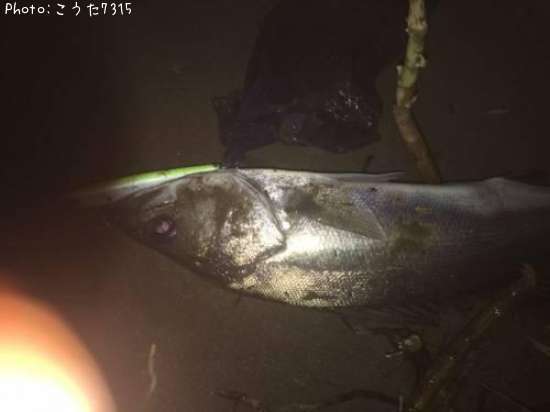 �����Х�