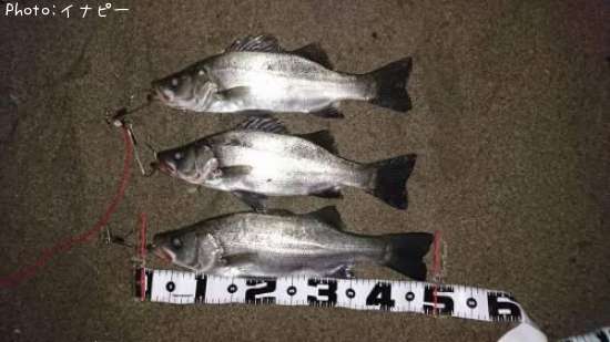 �ҥ饹����