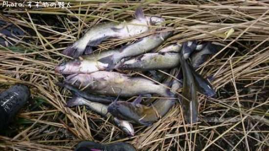 ����åȥե��å���