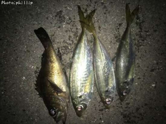 ��������Х�