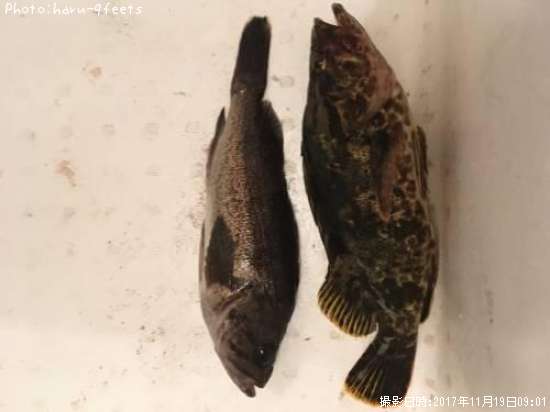 �٥å�������