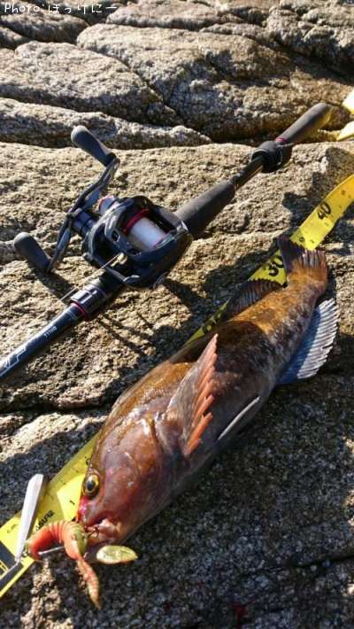 �����ʥ�