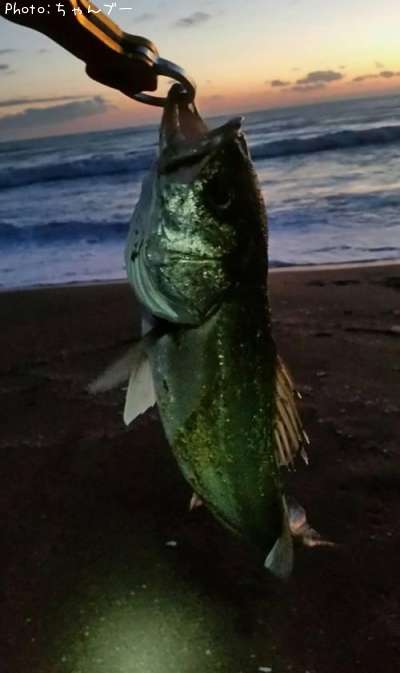 �����Х�