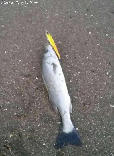 �����Х�