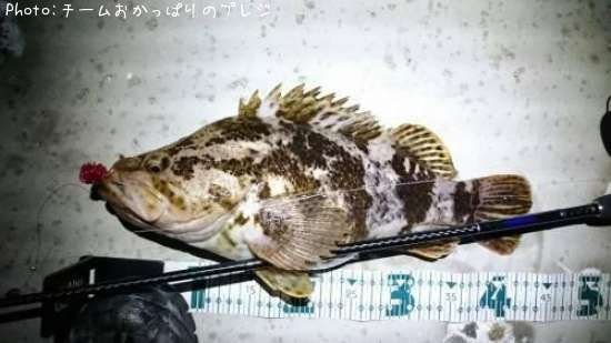 �����Υ���Х�