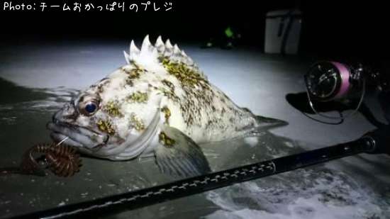 ���������饽��