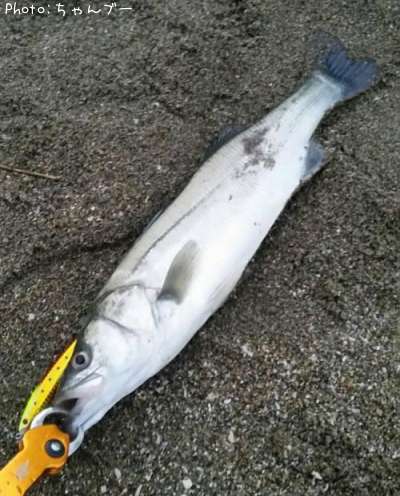 �����Х�