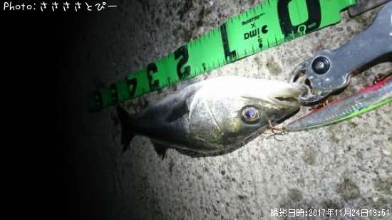 �����Х�