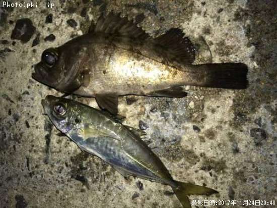 ��Х롢����