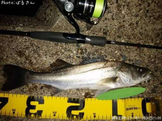 �����Х�