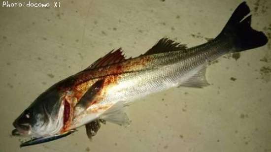 �����Х�