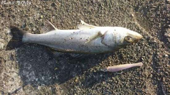 �����Х�