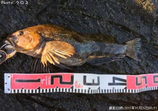 �����ʥ�