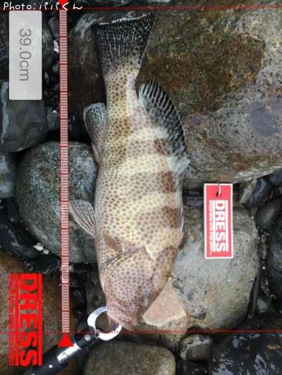 �������ϥ�