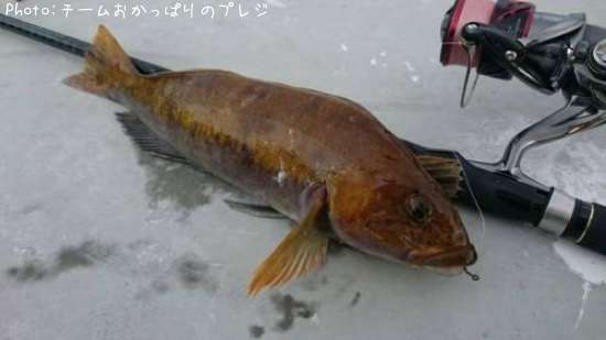 �����ʥ�