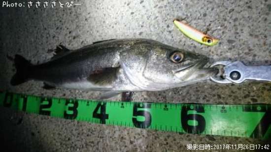 �����Х�