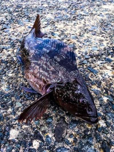 �����ʥ�