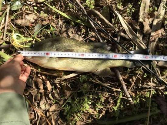 �֥�å��Х�