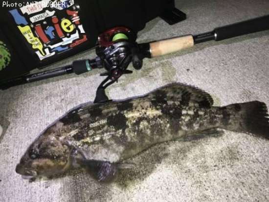 �����ʥ�