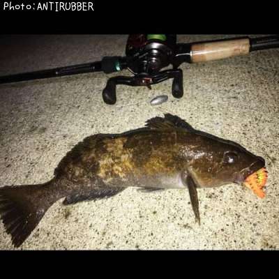 �����ʥ�