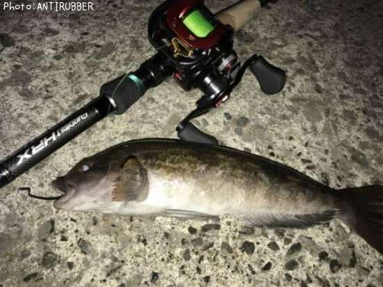 �����ʥ�