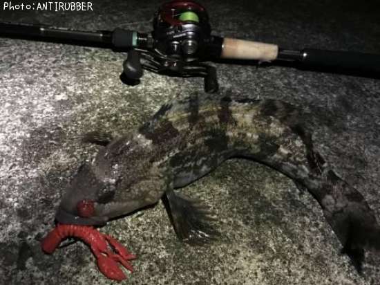 �����ʥ�