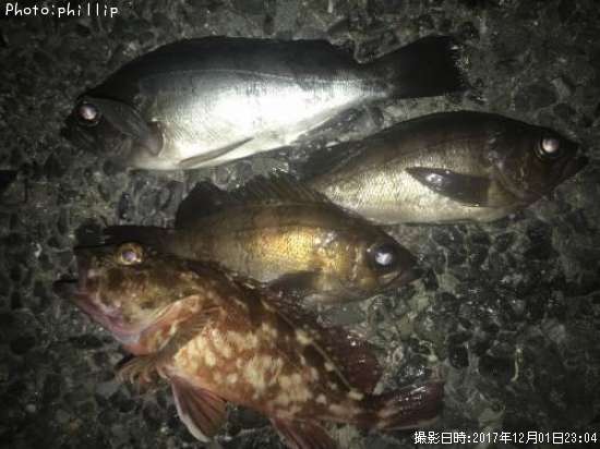 ����������Х�