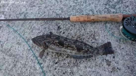 �����ʥ�