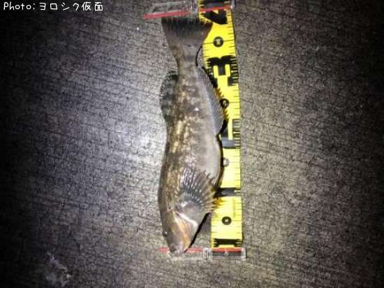 �����ʥ�