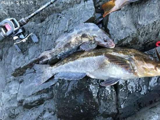 �����ʥ�