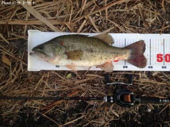 �֥�å��Х�