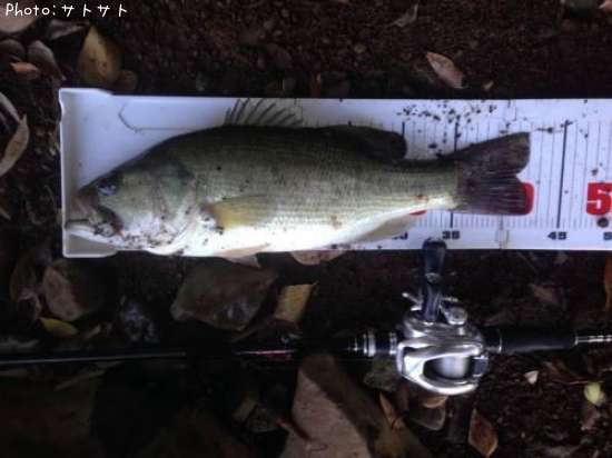 �֥�å��Х�