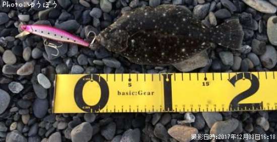 �ҥ��ʥ�����