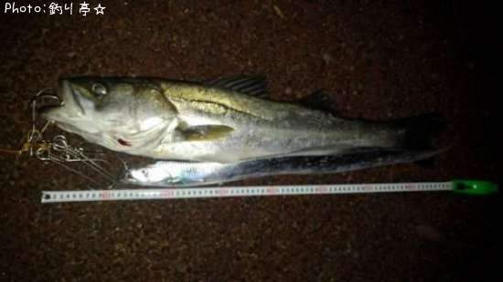 �����Х�