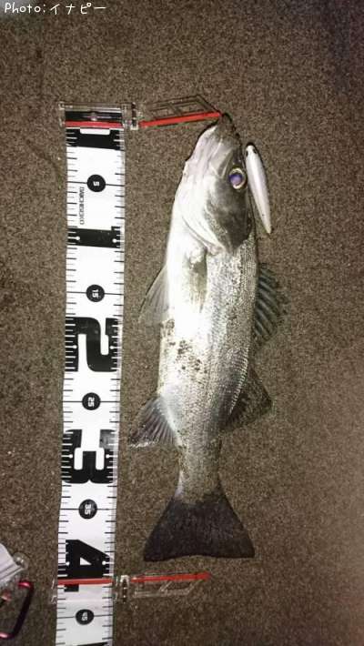 �ҥ饹����