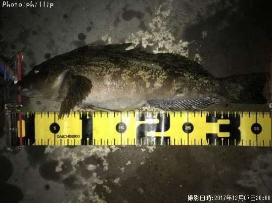 �����ʥ�