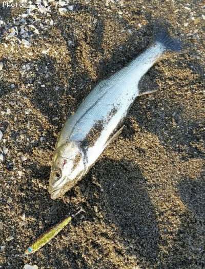 �����Х�