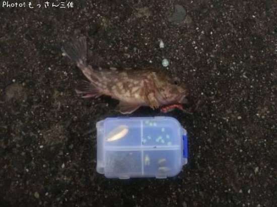 �����Υ���Х�