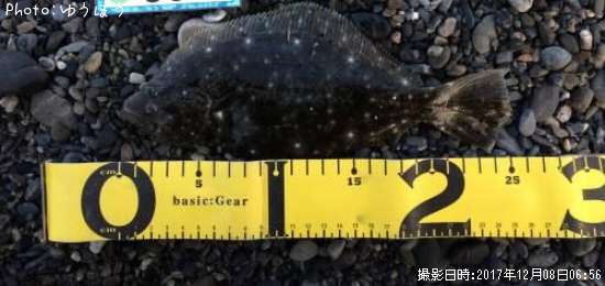 �ҥ��ʥ�����