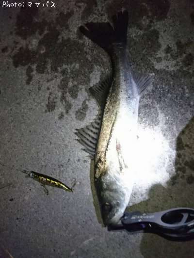 �����Х�