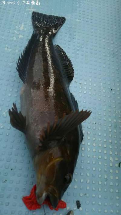 �����ʥ�