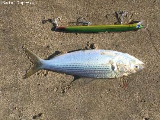 ���Υ���