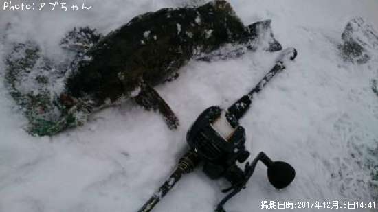 �����ʥ�