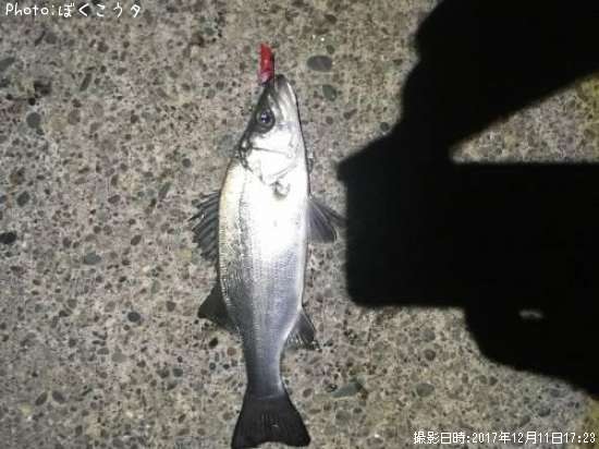 �����Х�