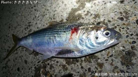 ���Υ���