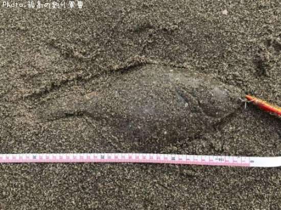 �������쥤