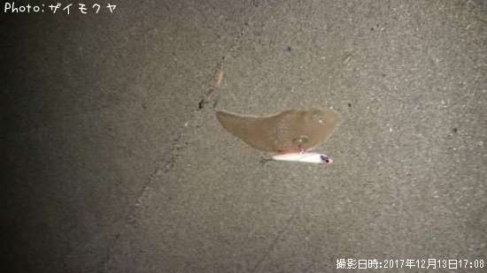 �����ӥ��