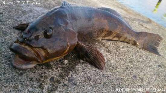 �����ʥ�