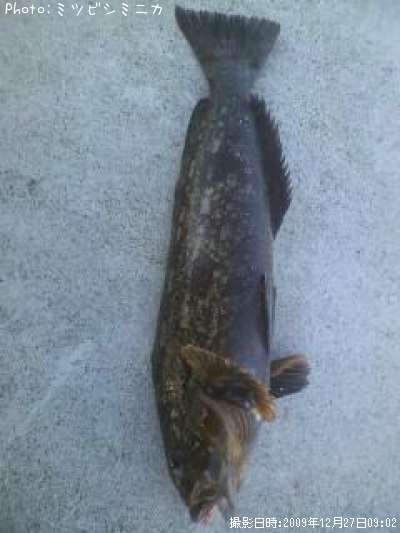 �����ʥ�